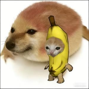 比比拉布我的刀盾