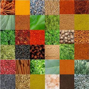 Étincelles (Sparks)