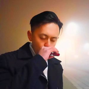 凤凰花开的路口