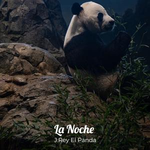 La Noche