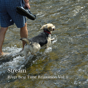 Through Infinity Runs