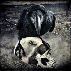 Descanse en Paz Carnalito (Rap)