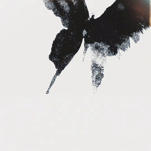 總掉眼淚在伱眼