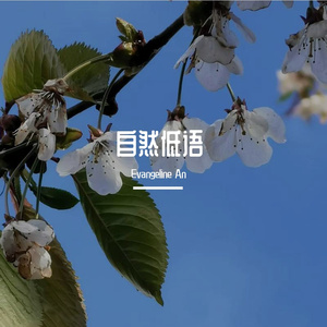 汐痕