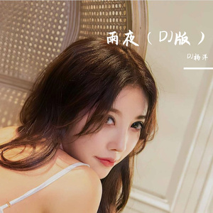 雨夜（DJ版）