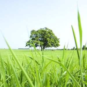 《F小调第四叙事曲Op__52》