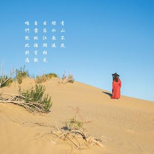 陈鸿宇-理想三旬(Remix)