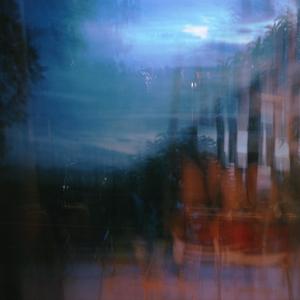 Forest of August: The Shadow