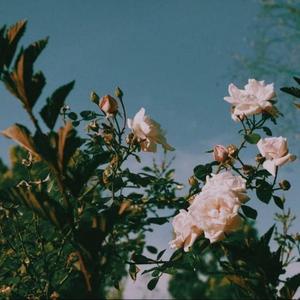 你离开后PROD BY LOUIS VILLAIN