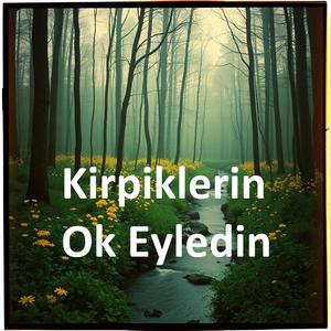 Kirpiklerin ok eyledin