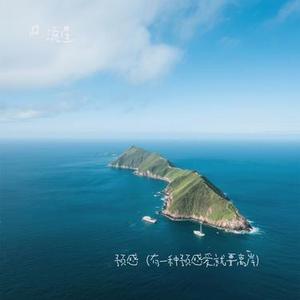 预感 (有一种预感爱就要离岸) (流星 Remix)