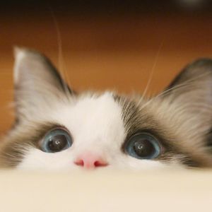 千千万万1690637187048