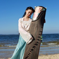 古筝街头版《十面埋伏》