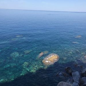 结婚(A Cage Of Pain)