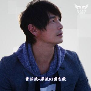 DJ国飞-黄品源-海浪DJ国飞版(DJ版)