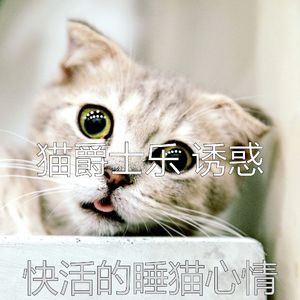 抚慰的猫在家回忆
