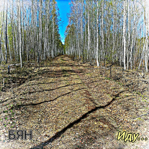 Шизофрения