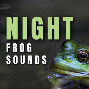 Frog Sounds