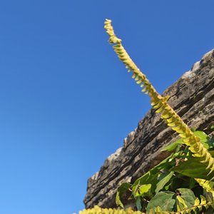 你的回眸是我一生的慢镜头