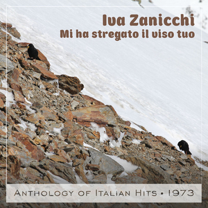 Mi ha stregato il viso tuo Anthology of Italian Hits 1973
