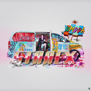 스타렉스 (STAREX)