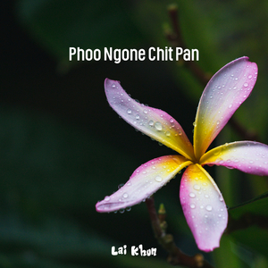 Phoo Ngone Chit Pan