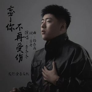 忘了你不再受伤