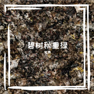 短短一生弹指间