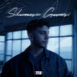 Silemezsin Geçmişi