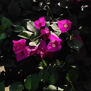 有机合成你真是太有意思辣（去世）