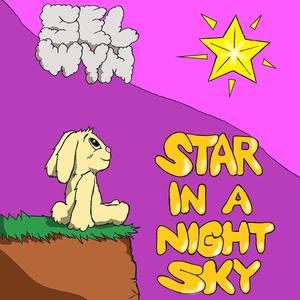 STAR IN A NIGHT SKY