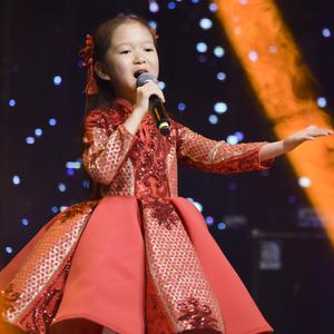 国家——万阳莹