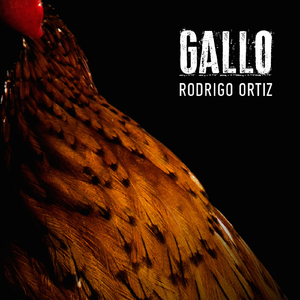 Gallo
