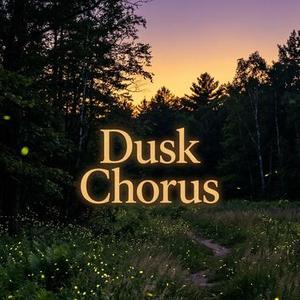 Dusk Chorus