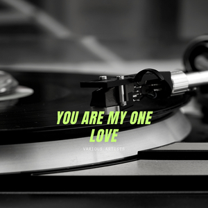 The One I Love Belongs to Somebod