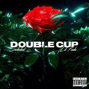 Double Cup (feat. Seclxded)