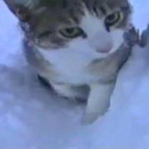 The memory that kept me company