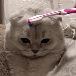 perfect.mp4（翻自 Ed sheeran）