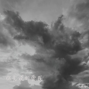 你先说的爱我