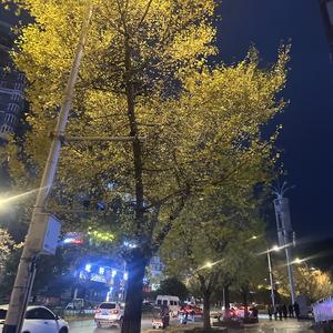 有你的瞬间定格成永远