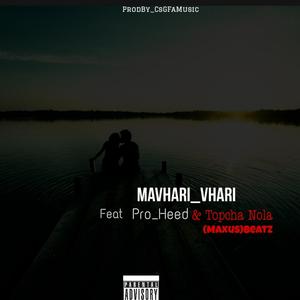 Mavhari Vhari (feat. Pro_Heed, Topcha Nola & (MaxusBeatz)