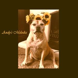 Rise Up! (feat. Erick Bieger)