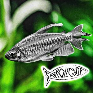 I, THE FISH.