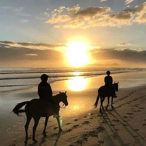 Kirsty刘瑾睿-Kirsty刘瑾睿 - 若把你(DJ小裕PongHouse Remix).mp3（DJ小裕 remix）