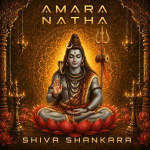 Shiva Shankara Mantra