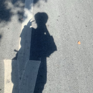 你看啊秋末的落叶