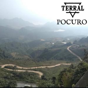 Pocuro