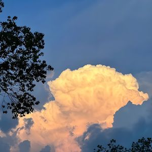 要赶车，先走了