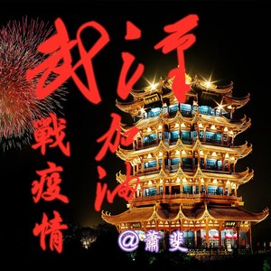 战疫情 (笛子版)