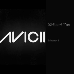 Avicii-Whitout you（Schama- Z / Sandro Cavazza / Avicii remix）